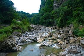 探索空气还能卖吗?-缤纷水果茶无敌版